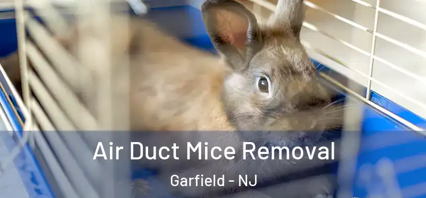  Air Duct Mice Removal Garfield - NJ