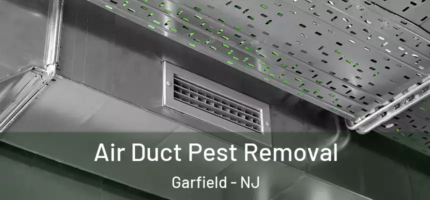Air Duct Pest Removal Garfield - NJ