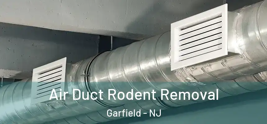 Air Duct Rodent Removal Garfield - NJ