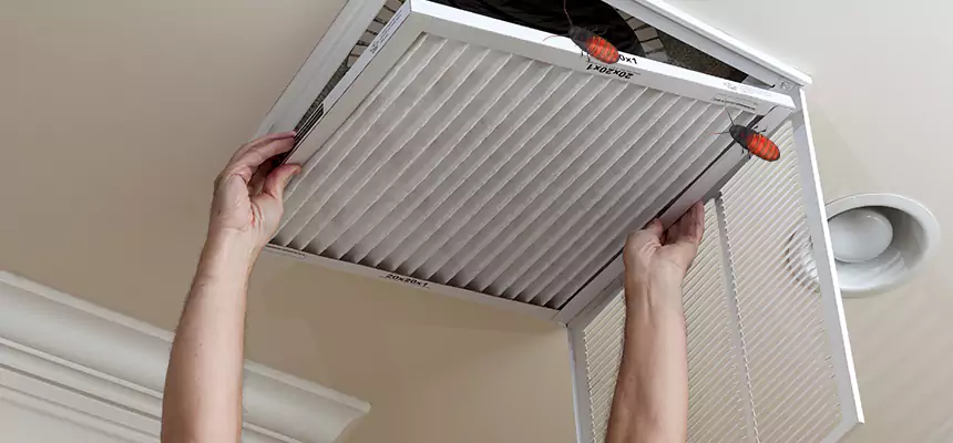 Our Insect Removal from Air Ducts Services in Garfield, NJ
