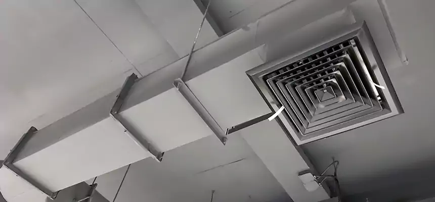 Our Pest Removal From Ducts Services in Garfield, NJ